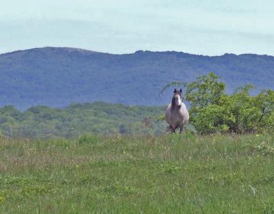 Прикрепленное изображение: DSCF8470.jpg